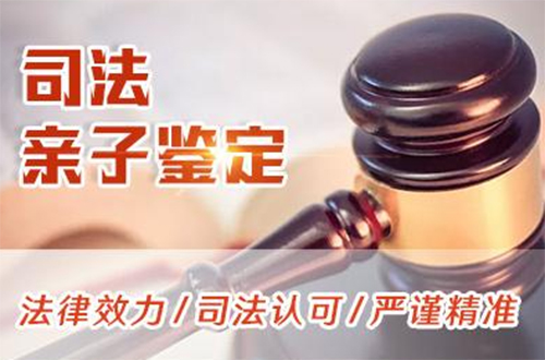 天津司法亲子鉴定预约电话,天津权威司法亲子鉴定机构