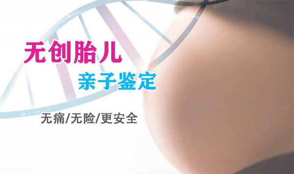 天津产前亲子鉴定中心在哪,天津产前亲子鉴定预约办理 天津产前亲子鉴定中心在哪,天津产前亲子鉴定预约办理